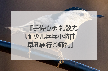 手传心承 礼敬先师 少儿乒乓小将曲阜孔庙行尊师礼