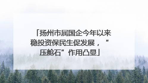 扬州市属国企今年以来稳投资保民生促发展，“压舱石”作用凸显
