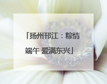 扬州邗江：粽情端午 爱满东兴