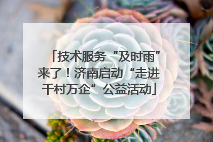 技术服务“及时雨”来了！济南启动“走进千村万企”公益活动