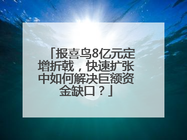 报喜鸟8亿元定增折戟，快速扩张中如何解决巨额资金缺口？