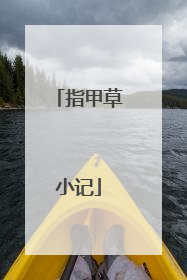 指甲草小记