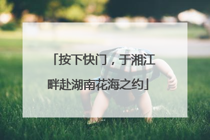 按下快门，于湘江畔赴湖南花海之约