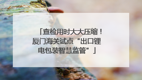 查检用时大大压缩！厦门海关试点“出口锂电包装智慧监管”