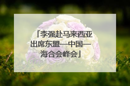 李强赴马来西亚出席东盟—中国—海合会峰会