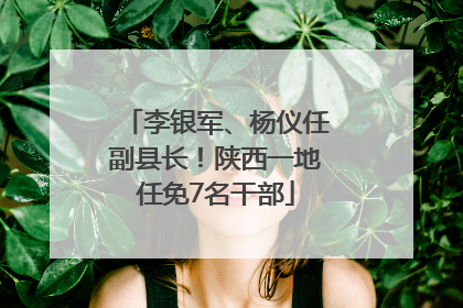 李银军、杨仪任副县长！陕西一地任免7名干部