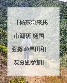 杨东奇来我市调研 杨国强陈必昌田和友分别参加