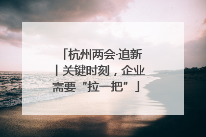 杭州两会·追新丨关键时刻，企业需要“拉一把”