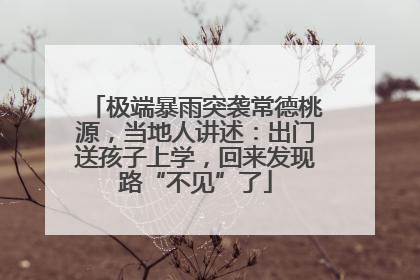 极端暴雨突袭常德桃源，当地人讲述：出门送孩子上学，回来发现路“不见”了