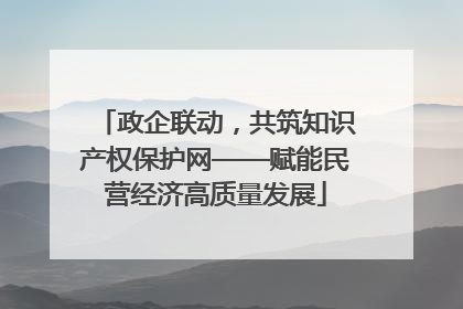 政企联动，共筑知识产权保护网——赋能民营经济高质量发展