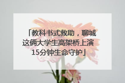 教科书式救助，聊城这俩大学生高架桥上演15分钟生命守护