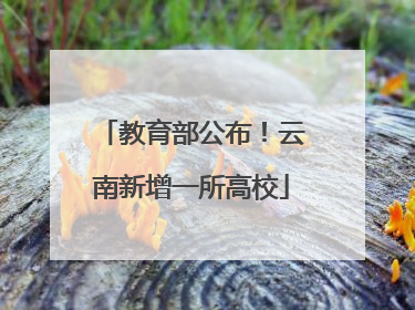 教育部公布！云南新增一所高校