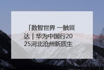 数智世界 一触冀达｜华为中国行2025河北沧州新质生产力峰会成功举办