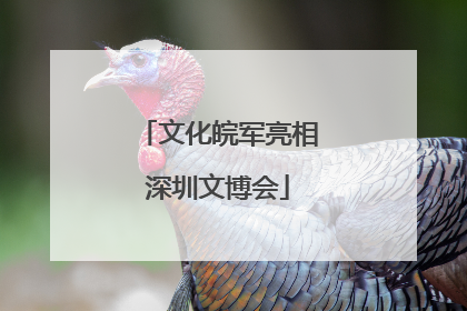 文化皖军亮相深圳文博会