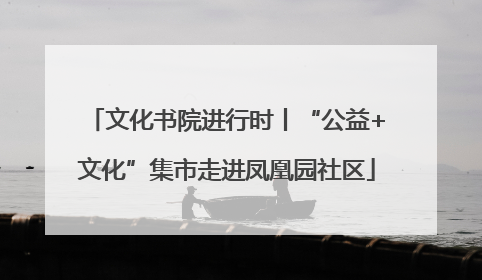 文化书院进行时丨“公益+文化”集市走进凤凰园社区
