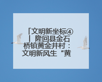 文明新坐标④丨 隆回县金石桥镇黄金井村：文明新风生“黄金” 振兴路上展新姿
