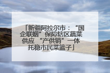 新疆阿拉尔市：“国企联姻”保障辖区蔬菜供应 “产供销”一体托稳市民菜篮子