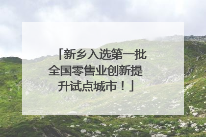新乡入选第一批全国零售业创新提升试点城市！