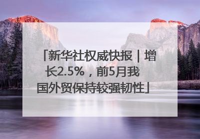 新华社权威快报｜增长2.5%，前5月我国外贸保持较强韧性