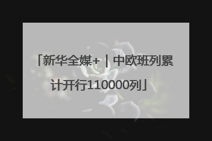 新华全媒+｜中欧班列累计开行110000列