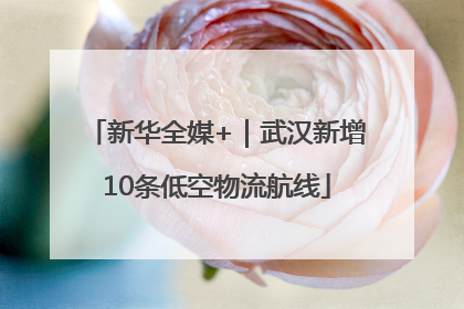 新华全媒+｜武汉新增10条低空物流航线