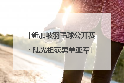 新加坡羽毛球公开赛：陆光祖获男单亚军