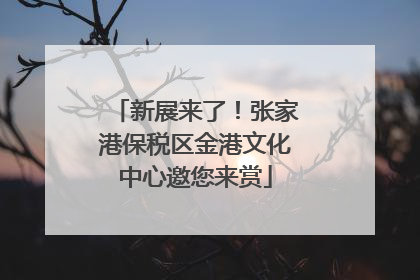 新展来了！张家港保税区金港文化中心邀您来赏