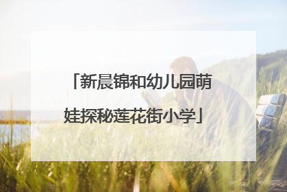 新晨锦和幼儿园萌娃探秘莲花街小学