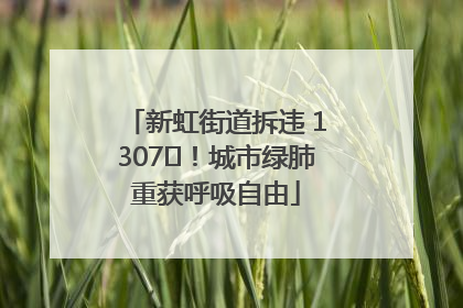 新虹街道拆违 1307㎡！城市绿肺重获呼吸自由