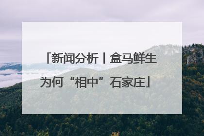 新闻分析丨盒马鲜生为何“相中”石家庄