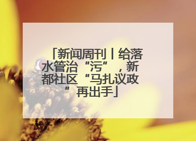 新闻周刊丨给落水管治“污”，新都社区“马扎议政”再出手