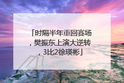 时隔半年重回赛场，樊振东上演大逆转，3比2徐瑛彬