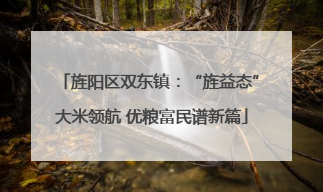 旌阳区双东镇：“旌益态”大米领航 优粮富民谱新篇