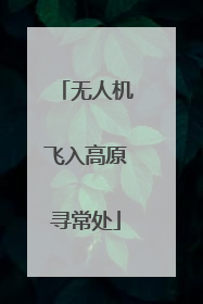 无人机飞入高原寻常处