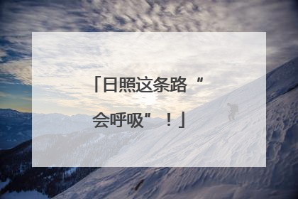 日照这条路“会呼吸”！