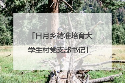 日月乡精准培育大学生村党支部书记