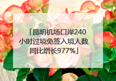 昆明机场口岸240小时过境免签入境人数同比增长977%