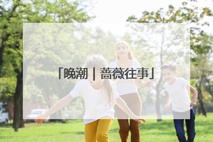 晚潮｜蔷薇往事
