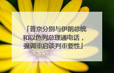 普京分别与伊朗总统和以色列总理通电话，强调重启谈判重要性