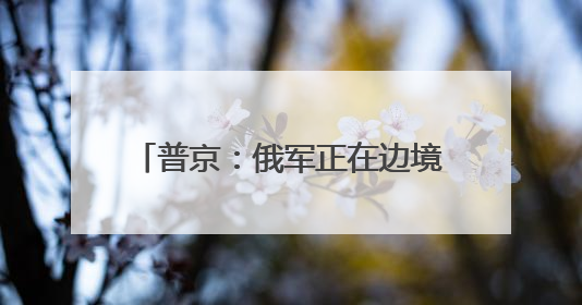 普京：俄军正在边境沿线建立安全缓冲区