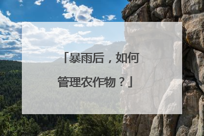 暴雨后，如何管理农作物？