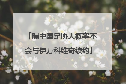 曝中国足协大概率不会与伊万科维奇续约