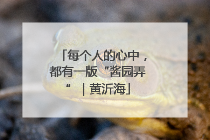 每个人的心中，都有一版“酱园弄”｜黄沂海