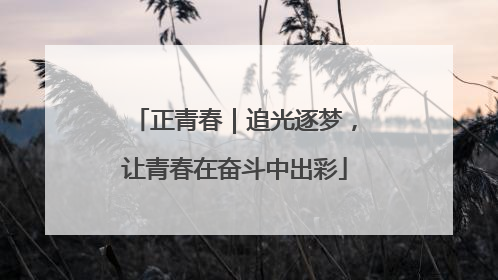 正青春｜追光逐梦，让青春在奋斗中出彩
