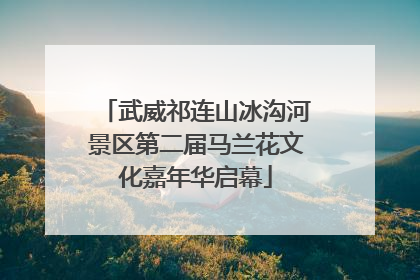 武威祁连山冰沟河景区第二届马兰花文化嘉年华启幕