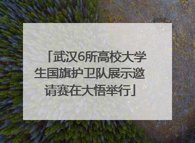 武汉6所高校大学生国旗护卫队展示邀请赛在大悟举行