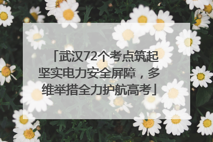 武汉72个考点筑起坚实电力安全屏障，多维举措全力护航高考