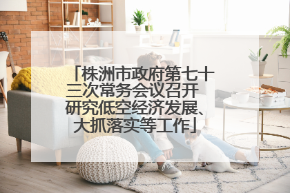 株洲市政府第七十三次常务会议召开 研究低空经济发展、大抓落实等工作