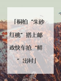 桐柏“朱砂红桃”搭上邮政快车抢“鲜”出村
