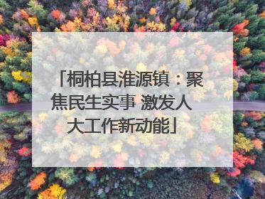 桐柏县淮源镇：聚焦民生实事 激发人大工作新动能